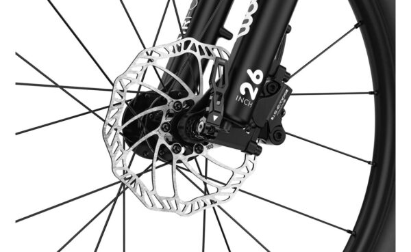 5211346_20505571.jpg